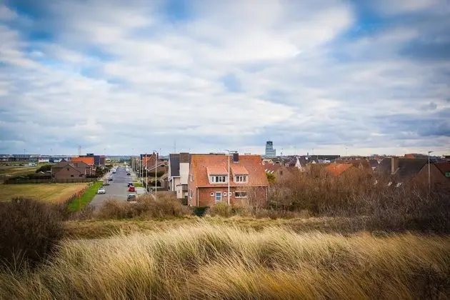 Superior Tek Büyük Yataklı Oda, 1 Büyük (Queen) Boy Yatak, Bahçe Manzaralı