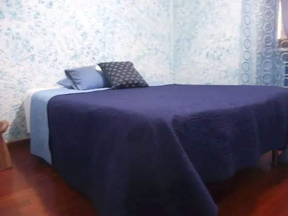 Deluxe Büyük Yataklı Tek Kişilik Oda, 1 Tek Kişilik XL Yatak, Özel Banyo, Park Manzaralı