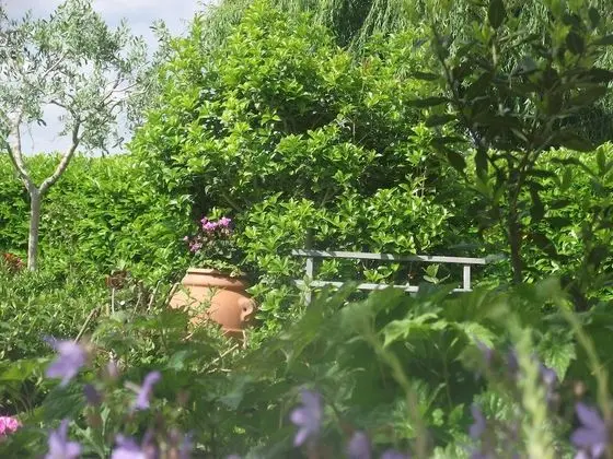 Deluxe Büyük Yataklı Tek Kişilik Oda, 1 Tek Kişilik XL Yatak, Özel Banyo, Park Manzaralı