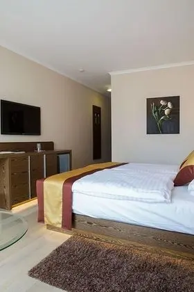 Business Büyük Yataklı Tek Kişilik Oda, 1 Yatak Odası, Anti Alerjik