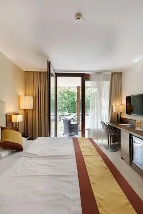 Business Süit, 1 Yatak Odası, Veranda, Park Manzaralı