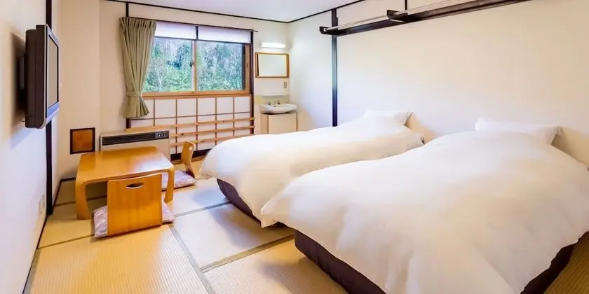 Traditional İki Ayrı Yataklı Oda, Sigara İçilmez, Ortak Banyo (10 Tatami-mat Japan style, Free Wifi)