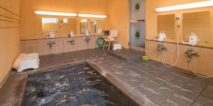 Traditional İki Ayrı Yataklı Oda, Sigara İçilmez, Ortak Banyo (10 Tatami-mat Japan style, Free Wifi)