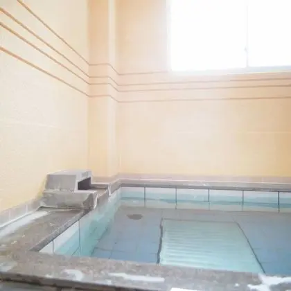Traditional Oda, Sigara İçilmez, Ortak Banyo (13 Tatami-mat Japanese, w/ Toilet)