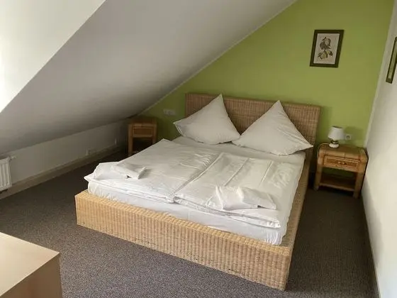 Süit