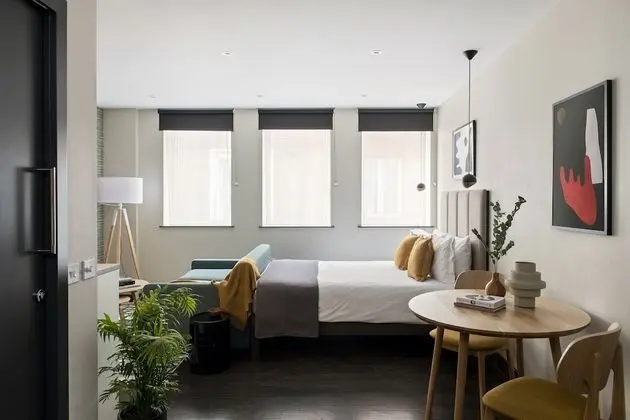 Apart Daire (Large Studio)