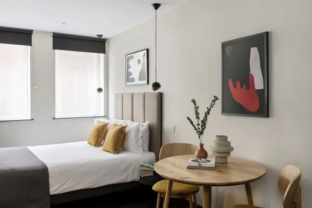 Apart Daire (Large Studio)