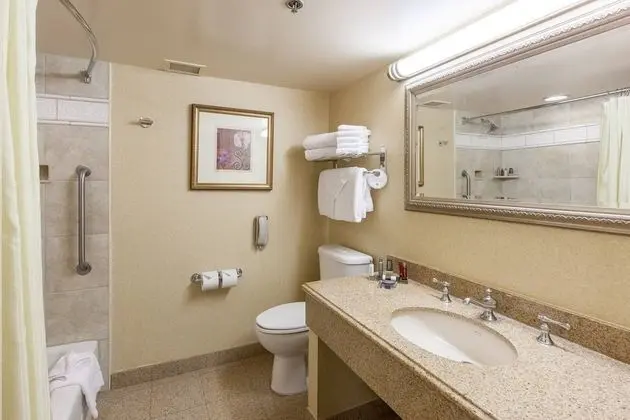 Concierge Room, Oda, 1 En Büyük (King) Boy Yatak