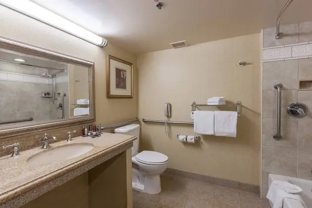 Oda, 1 En Büyük (King) Boy Yatak (Mobility Accessible, Tub)