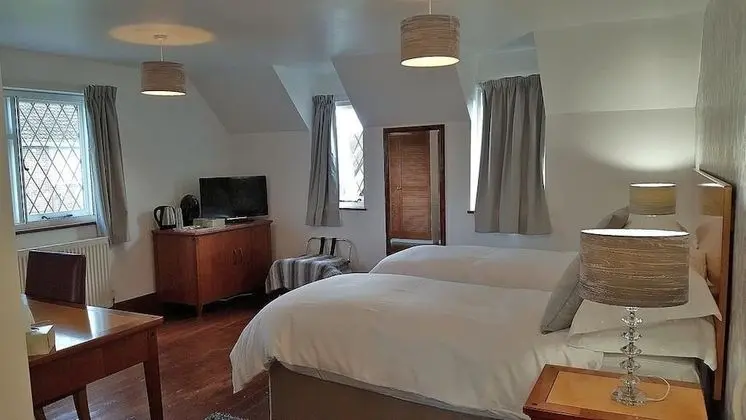 Executive Tek Büyük veya İki Ayrı Yataklı Oda, Banyolu/Duşlu (Louis Room)