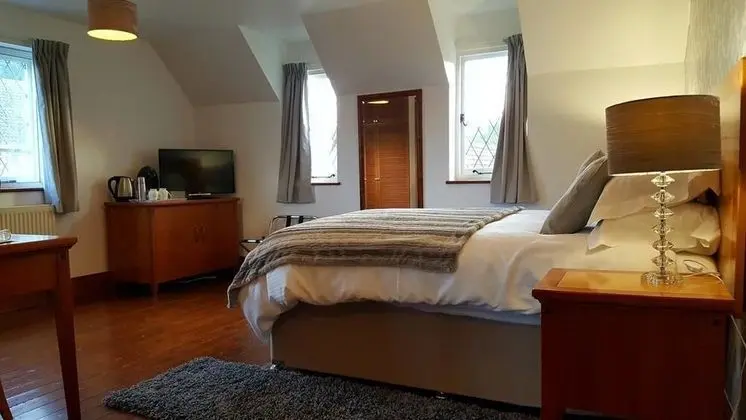 Executive Tek Büyük veya İki Ayrı Yataklı Oda, Banyolu/Duşlu (Louis Room)