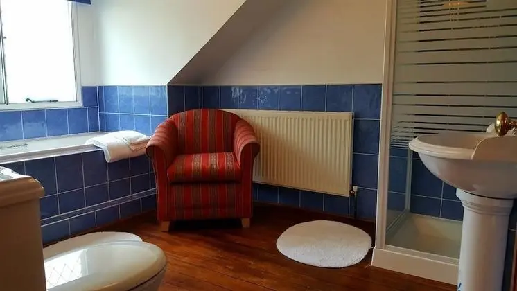 Executive Tek Büyük veya İki Ayrı Yataklı Oda, Banyolu/Duşlu (Louis Room)