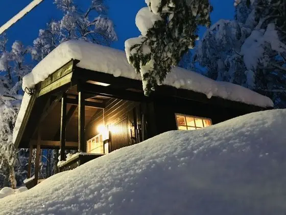 Standard Kulübe (2 Bunk Beds)