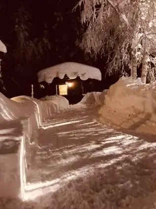 Standard Kulübe (2 Bunk Beds)