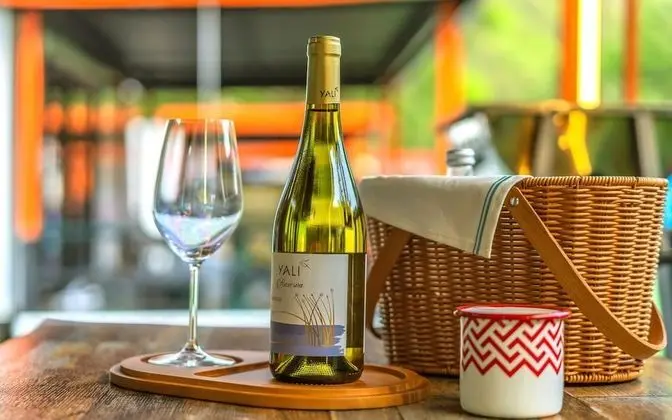 Oda (Premium folding door caravan)