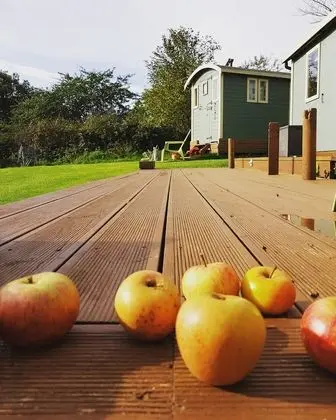 Shepherd Huts