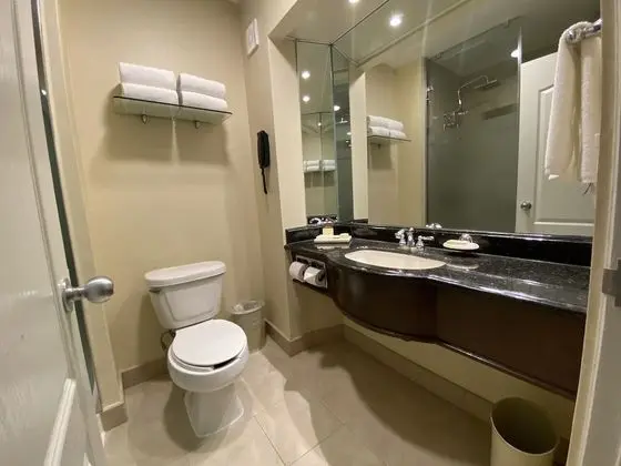Deluxe Tek Büyük Yataklı Oda, 2 Çift Kişilik Yatak
