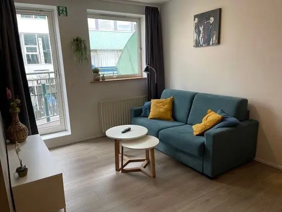 Comfort Apart Daire, 1 Yatak Odası