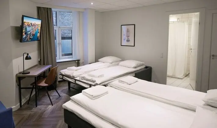 Standard Dört Kişilik Oda, Özel Banyo (2 Twin Beds and 2 Sofa Beds)