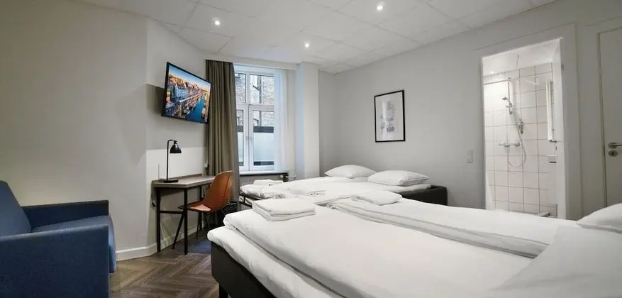 Standard Dört Kişilik Oda, Özel Banyo (2 Twin Beds and 2 Sofa Beds)