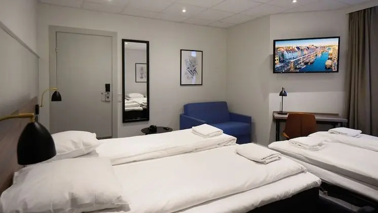 Standard Dört Kişilik Oda, Özel Banyo (2 Twin Beds and 2 Sofa Beds)
