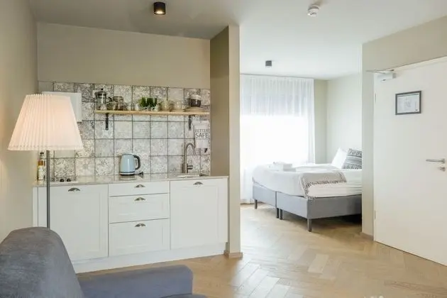 Stüdyo, 1 Yatak Odası, Balkon