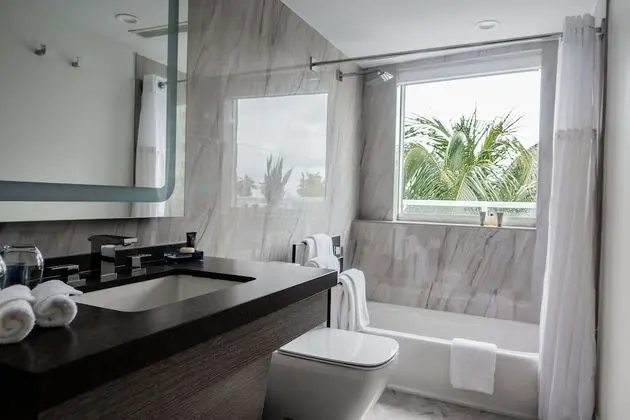 Çatı Katı Süiti (Penthouse) (Sagamore Penthouse West)