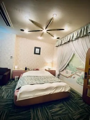 Superior Tek Büyük Yataklı Oda (D, includes air purifier)