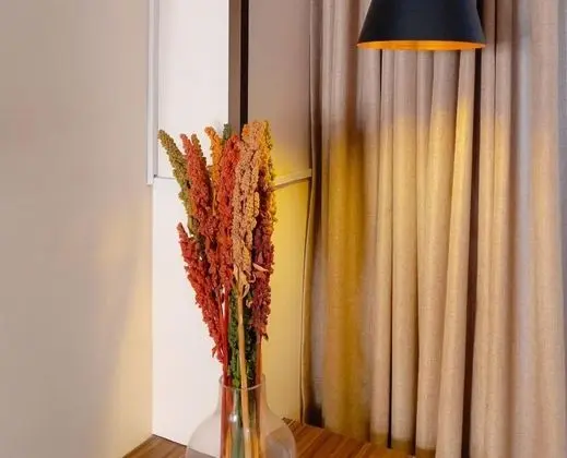 Deluxe Tek Büyük Yataklı Oda, 2 Tek Kişilik Yatak