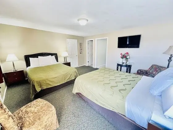 Deluxe Tek Kişilik Oda, 2 Büyük (Queen) Boy Yatak, Sigara İçilmez, Mutfak