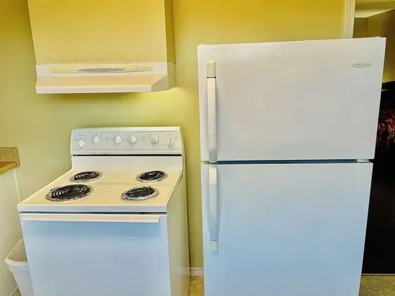 Deluxe Tek Kişilik Oda, 2 Büyük (Queen) Boy Yatak, Sigara İçilmez, Mutfak