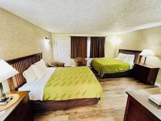 Standard Tek Kişilik Oda, 2 Büyük (Queen) Boy Yatak, Sigara İçilmez, Buzdolabı ve Mikrodalga