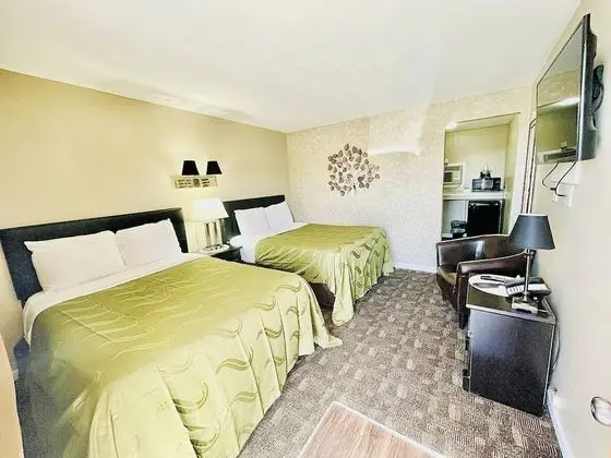 Standard Tek Kişilik Oda, 2 Çift Kişilik Yatak, Sigara İçilmez, Buzdolabı ve Mikrodalga