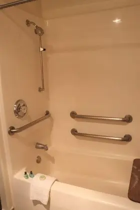 Oda, 1 Büyük (Queen) Boy Yatak, Engellilere Uygun (Studio Accessible Room (No Pets))