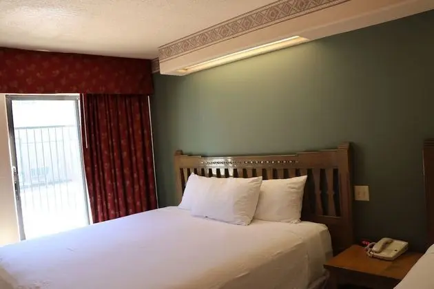 Standard Süit, Birden Çok Yatak (Studio Room (No Pets))