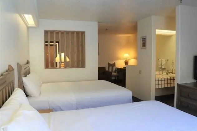 Standard Süit, Birden Çok Yatak (Studio Room (No Pets))