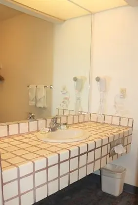Standard Süit, Birden Çok Yatak (Studio Room (No Pets))