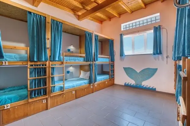 Ortak Ranzalı Oda, Karma Ranzalı Oda (1 Bed in a 12-Bed Dorm)
