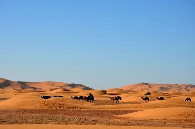 Royal Çadır, Dağ Manzaralı
