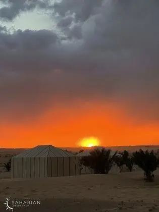 Oda, 1 Yatak Odası, Engellilere Uygun, Teras