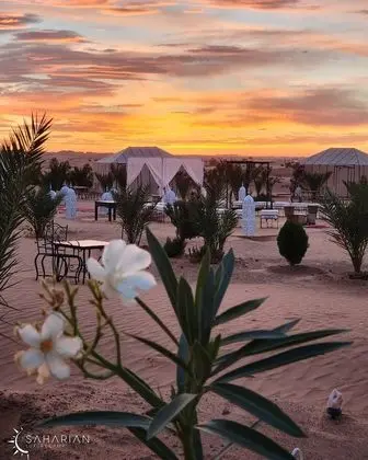 Oda, 1 Yatak Odası, Engellilere Uygun, Teras