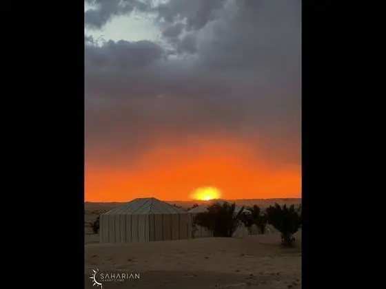 Oda, Birden Çok Yatak Odası, Engellilere Uygun, Teras