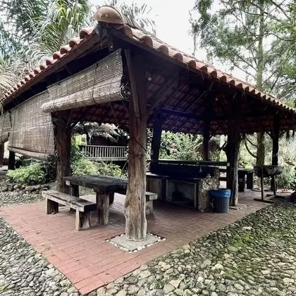 Executive Oda