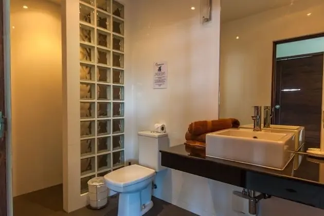 Çatı Katı Süiti (Penthouse)