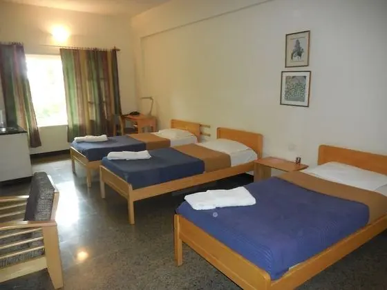 Standard Oda, Şehir Manzaralı