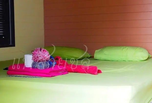 Standard House Bungalow, Shared Bathroom (Free Boat Transfer - Round Trip)