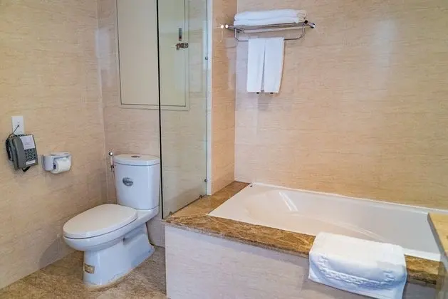 Deluxe Tek Büyük Yataklı Oda, 1 En Büyük (King) Boy Yatak, Şehir Manzaralı