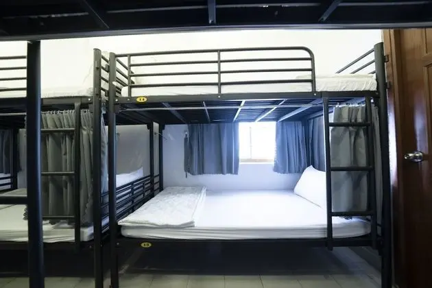 Standard Ortak Ranzalı Oda, Karma Ranzalı Oda (Bed in 12-bed)