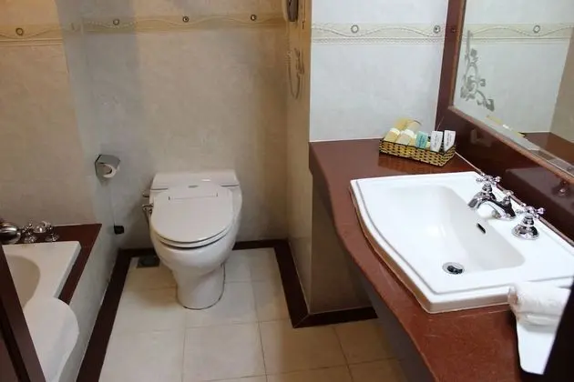Deluxe Tek Büyük veya İki Ayrı Yataklı Oda