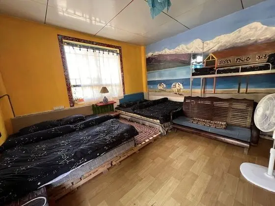 Classic Ortak Ranzalı Oda, Karma Ranzalı Oda, Bahçe Manzaralı (Bed in 6-Bed)